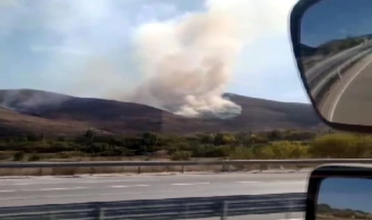 Çankırı’da ağaçlık alanda yangın