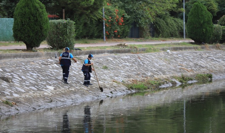 Çark Deresi ve çevresi temizlendi