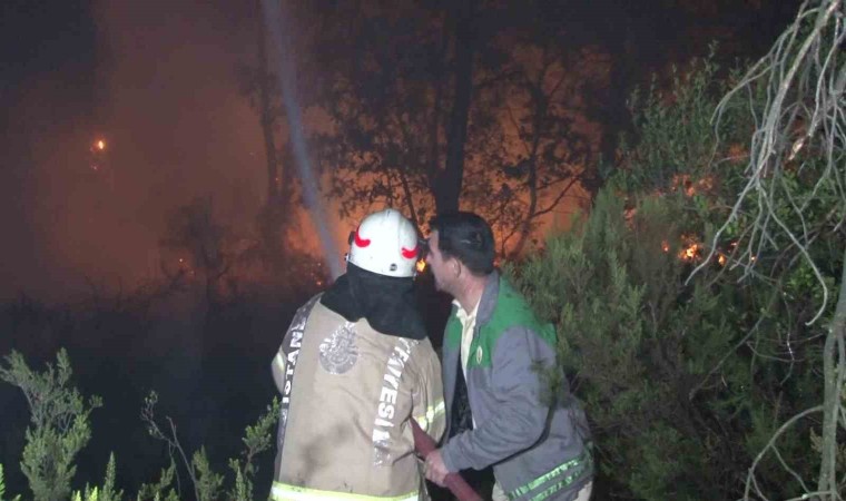 Çekmeköyde ormanlık alanda çıkan yangın kontrol altına alındı