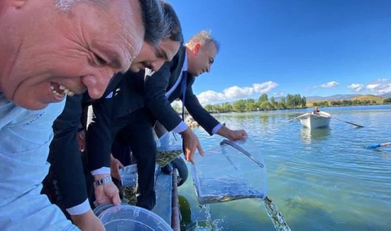 Çıldır Gölü’ne 150 bin yavru sazan bırakıldı