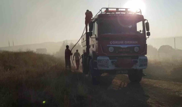 Çorumda 15 bin dönüm arazi küle döndü