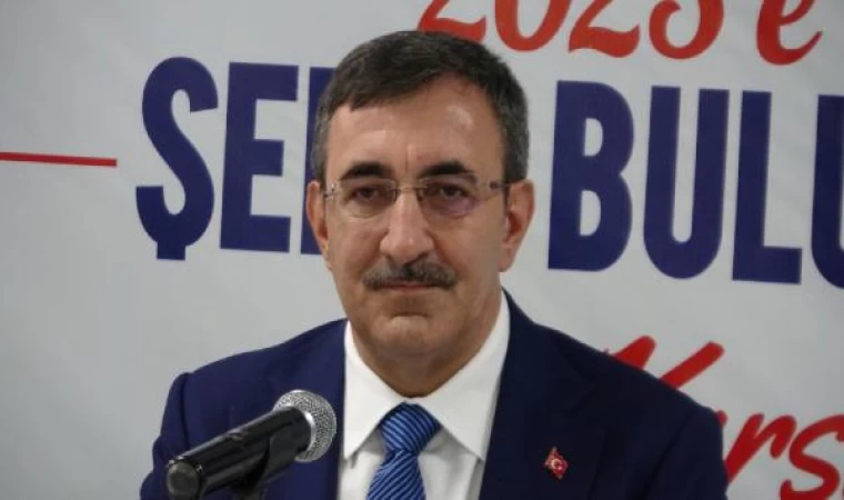 Cumhurbaşkanı Yardımcısı Yılmaz: Bağımsız Türkiye’yi dosta düşmana gösterdik