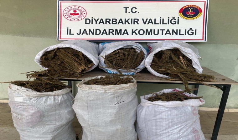 Diyarbakırda 121 kilo esrar ele geçirildi