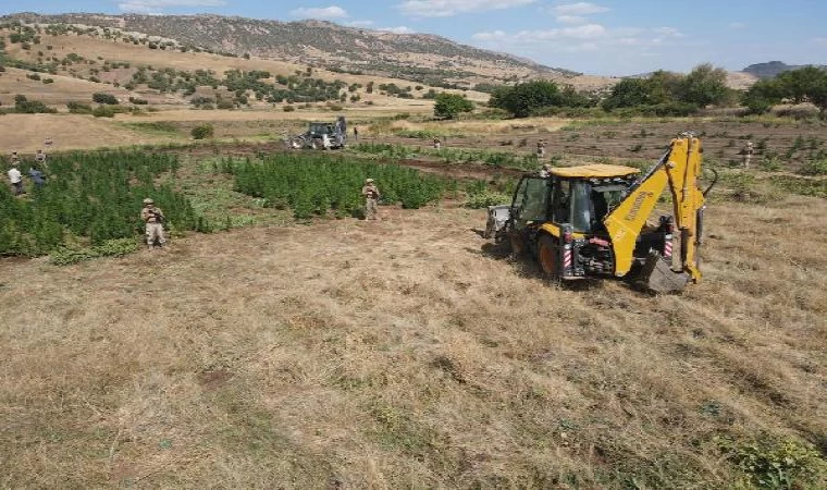 Diyarbakır’da uyuşturucu operasyonunda 2 ton esrar, 12 milyon kök kenevir ele geçirildi