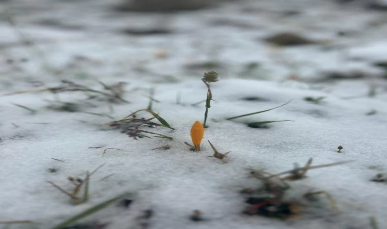 Doğu Karadeniz’de yükseklere kar yağdı