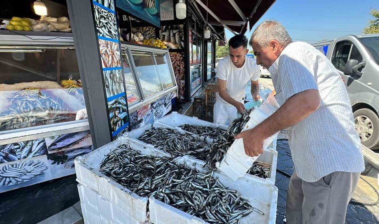 Düzcede hamsi fiyatı 20 liraya kadar düştü