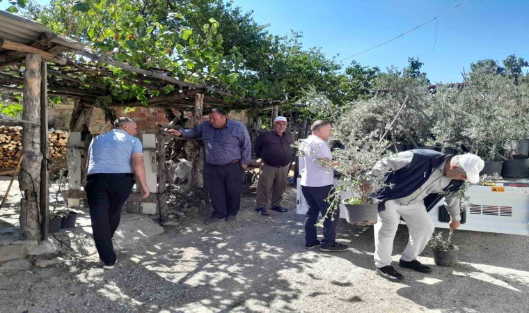 Edremitten, Çanakkale yangınında etkilenen köylere 250 zeytin fidanı gönderildi