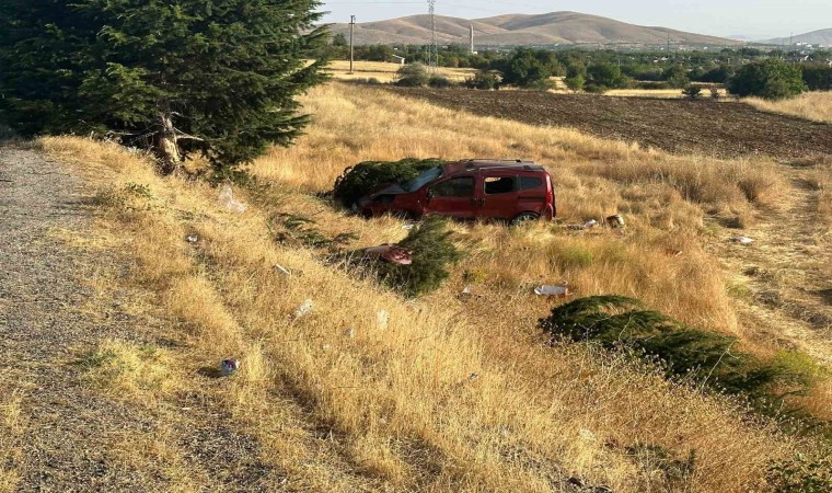 Elazığda hafif ticari araç şarampole uçtu: 1 ölü, 4 yaralı