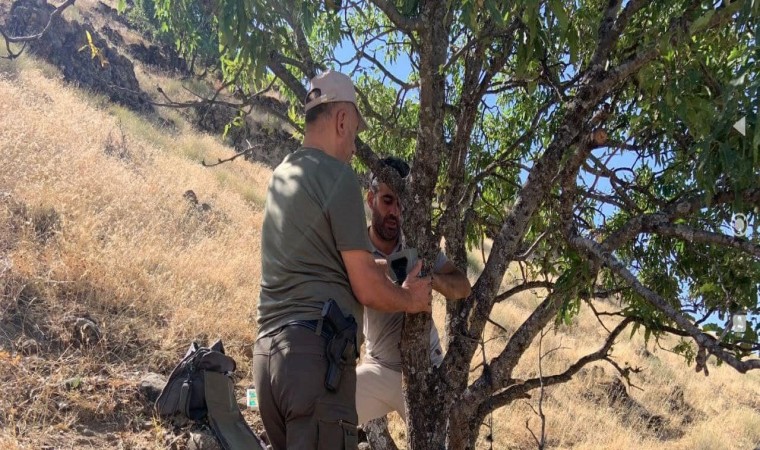 Elazığda yaban hayatını görüntüleyen fotokapanların bakımı yapıldı