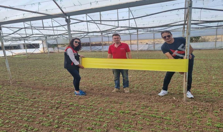 Eskişehirde kalıntıyla mücadele eylem planı eğitimleri devam ediyor