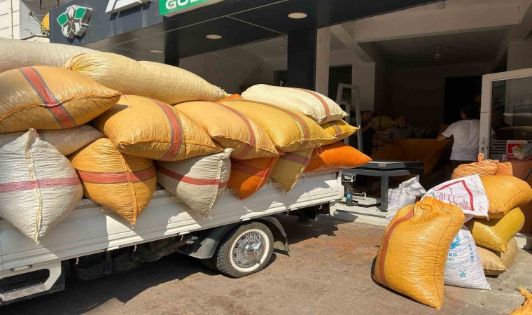 Fındık üreticileri fiyatların yükselmesini bekliyor