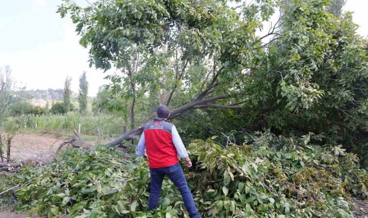 Gazellerde yaşanan dolu olayında zarar 1 milyon 617 bin TL