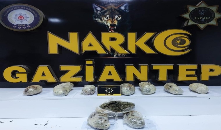 Gaziantepte 3 kilo skunk ele geçirildi