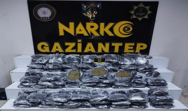 Gaziantepte 51 kilo skunk ele geçirildi