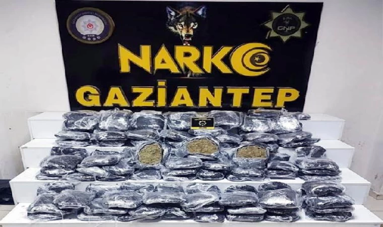 Gaziantep’te 51 kilogram skunk ele geçirildi