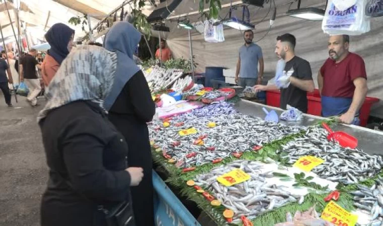 Haldeki hamsi krizini değerlendiren Ağaoğlu: Anlaşarak avlanmaya çıkmamak rekabet kanununa aykırı  