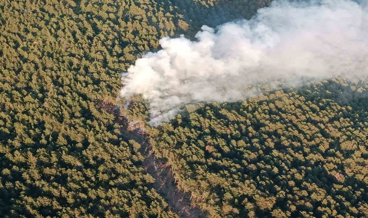 Hatayda orman yangınına havadan ve karadan müdahale sürüyor