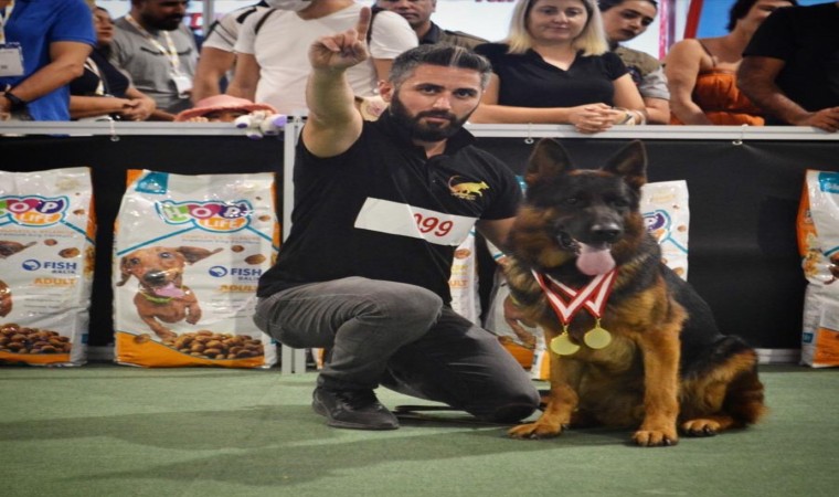 Hayatını köpeklerine adadı, şimdi de gözünü dünya şampiyonluğuna dikti