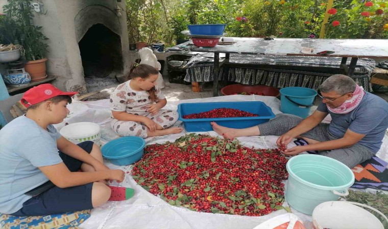 Hisarcıkta kızılcık üretimi düştü, fiyatlar ikiye katlandı