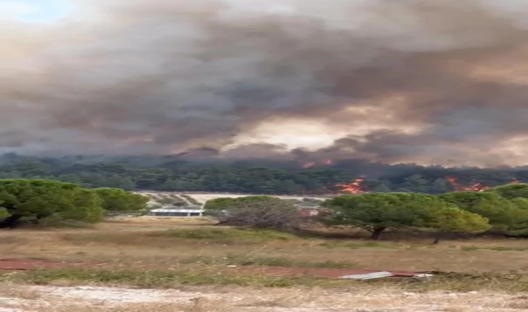 İzmir’de orman yangını