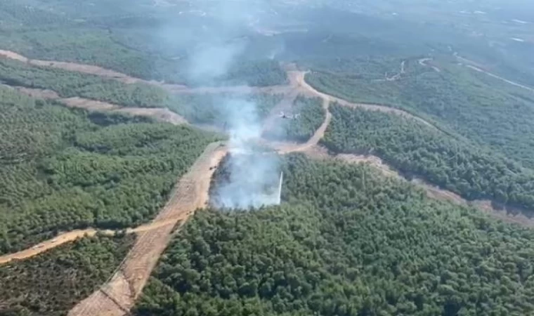 İzmir’de orman yangını