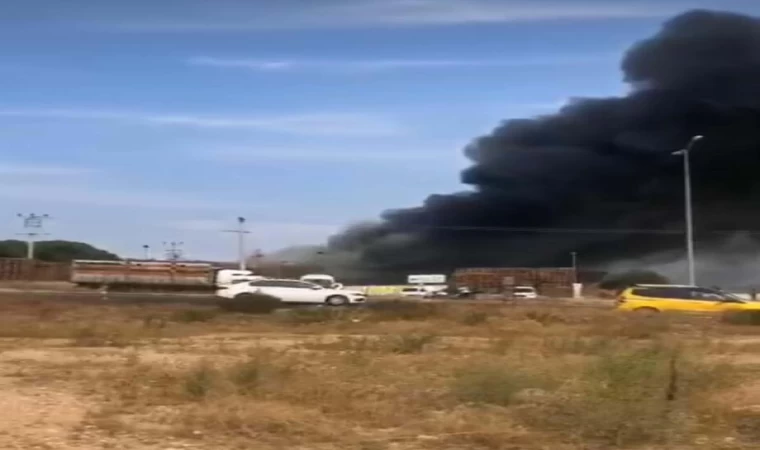 İzmir’de palet fabrikasında yangın 