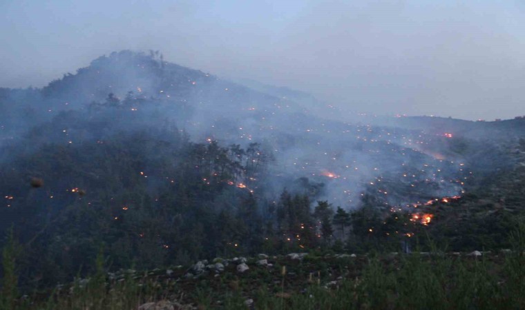 İzmirdeki orman yangınına müdahale sürüyor