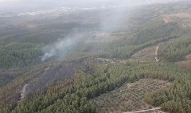 İzmir’deki orman yangınını söndürme çalışmaları sürüyor