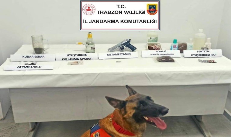 Jandarma narkotik köpeği ‘Limon ilk operasyonunda tespit etti