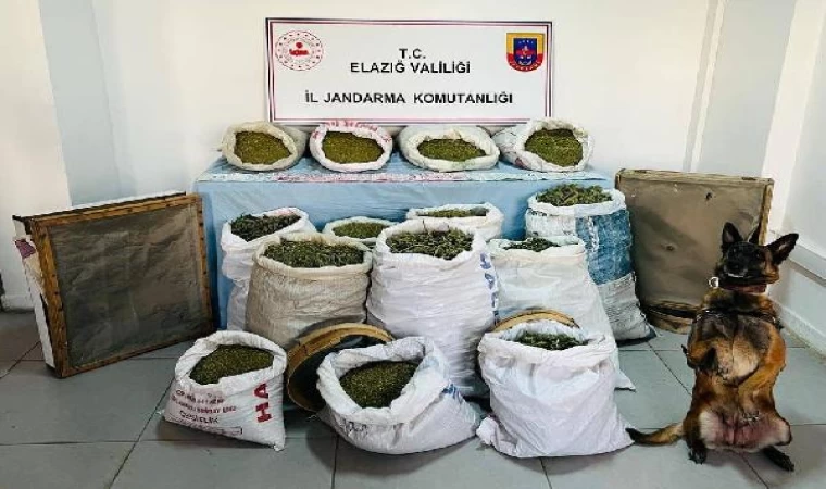 Jandarma operasyonunda 241 kilo esrar ele geçirildi; 2 tutuklama