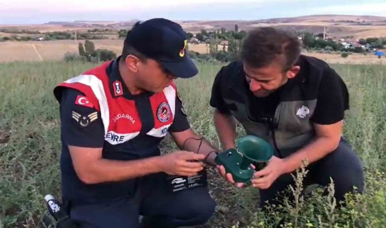 Kaçak avcıların ses oyununu jandarma bozdu