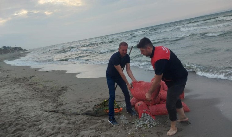 Kaçak avlanılan 5 bin 500 kilo kum şırlanı denize bırakıldı