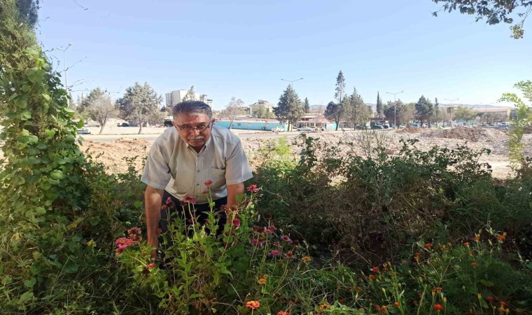 Kahramanmaraşta muhtar enkaz halindeki mahalleyi yeşillendirdi