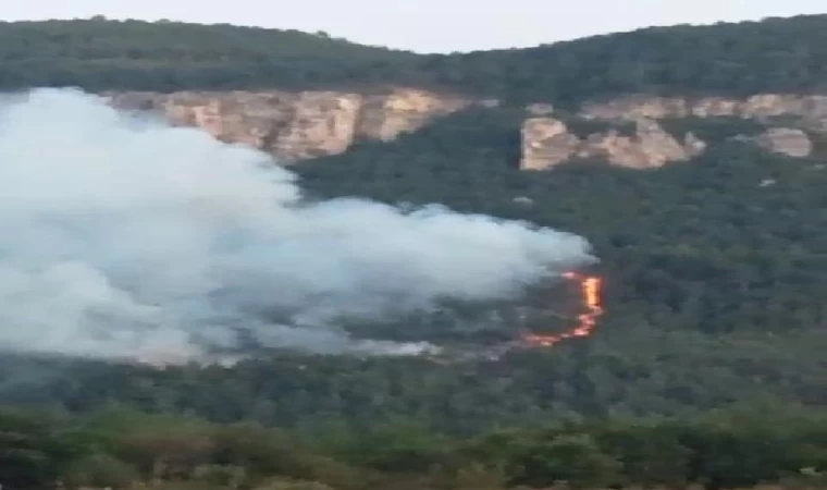 Karabük’te orman yangını