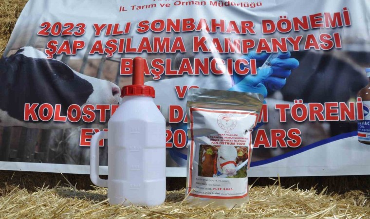 Karsta Sonbahar Dönemi Şap Aşılama kampanyası başladı