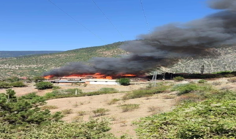 Kastamonu’da 8 ev ve 3 samanlık yandı