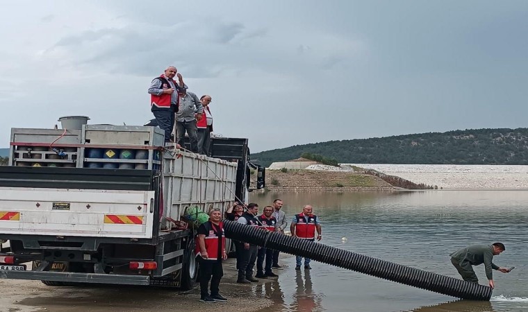 Kastamonuda göletlere 1 milyon balık salındı