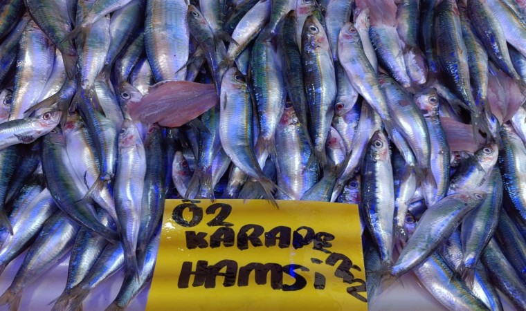 Kırmızı ve beyaz ete göre fiyatı makul olan balığa yoğun ilgi