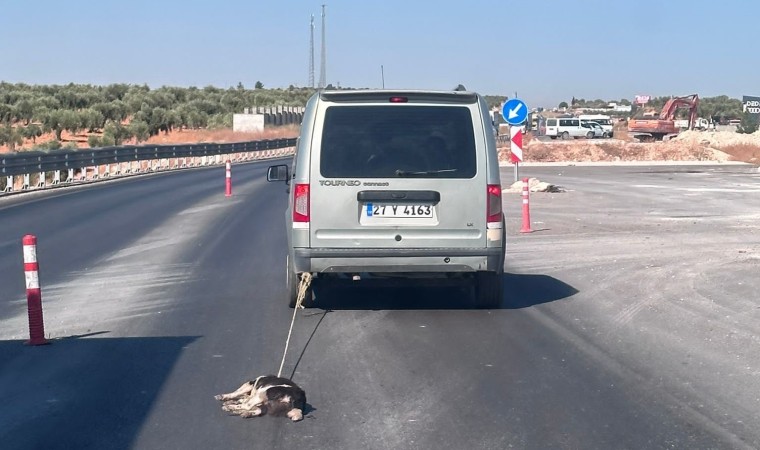 Köpeği aracına bağlayıp sürükledi