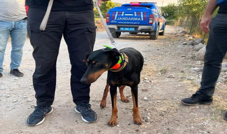 Korhan Berzeg’in 74 gün sonra evine dönen köpeği Tina, Angela Berzeg ile buluştu (2)