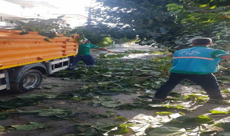 Kuşadası Belediyesinin kış hazırlıkları işe yaradı