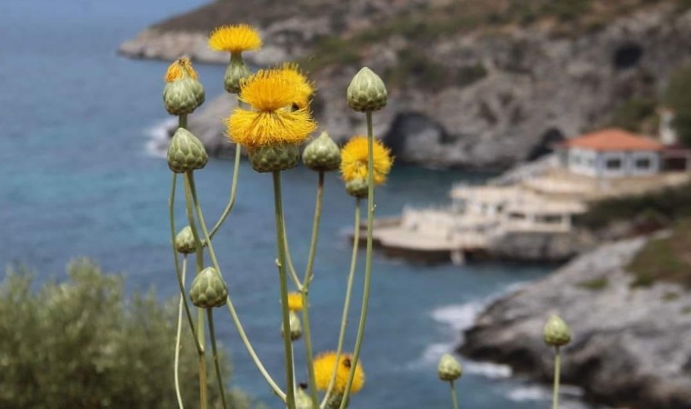 Kuşadası yeni bir turizm rotası daha kazandı