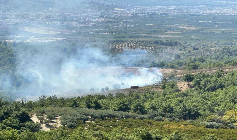 Kuşadasındaki orman yangını büyümeden söndürüldü