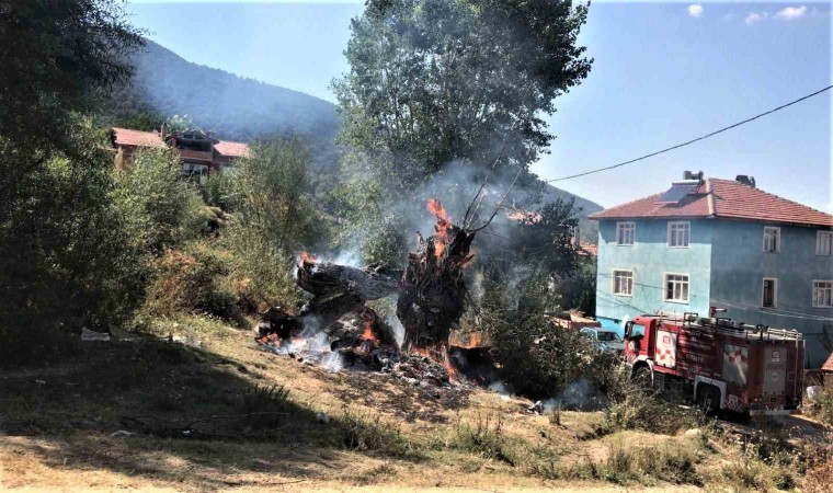 Kütahya OBG 1 haftada 7 kırsal alan ve 3 orman yangınına müdahale etti