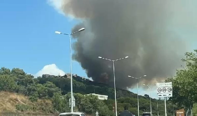 Maltepe’de orman yangını - 1