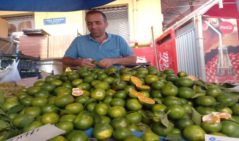 Mandalina Aydındaki semt pazarındaki tezgahlarda yerini aldı