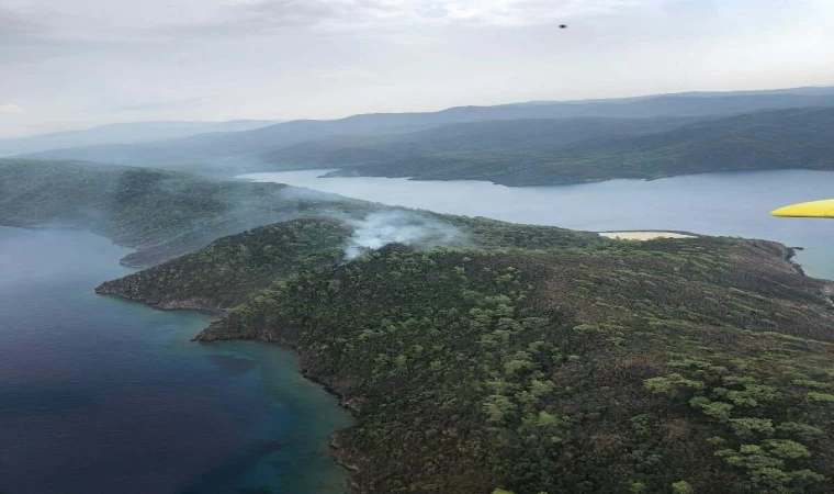 Marmaris’te orman yangını