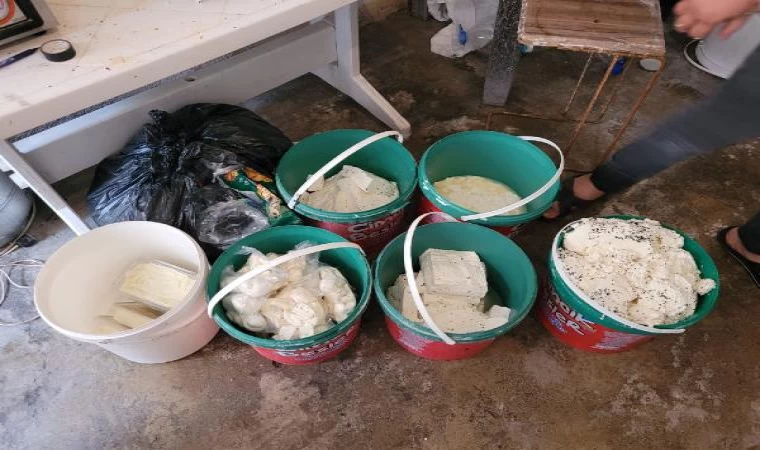 Merdiven altı üretilen 200 kilo peynir ile 10 kilo kaymak imha edildi