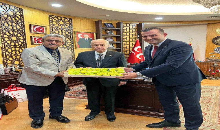 MHP Lideri Bahçeliye Aydın İnciri ikramı