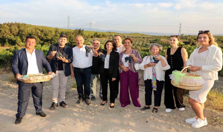 Mudanya Çağrışanda bağbozumu zamanı